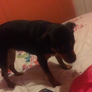 Meet your Posher, Helen